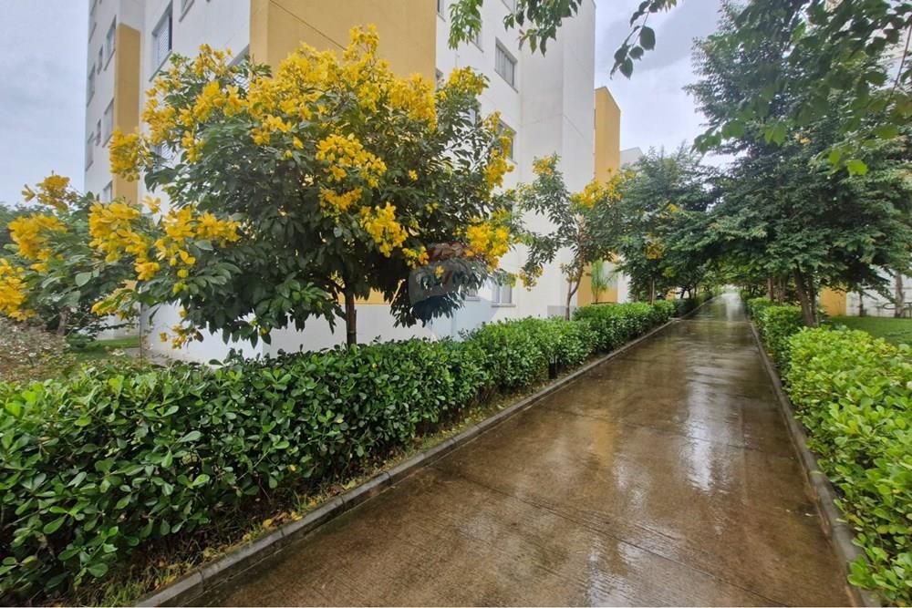 Apartamento - Venda - Paulínia , São Paulo - WhatsApp Image 2026-02-10 at 17.02.23.jpeg - 690511202-92