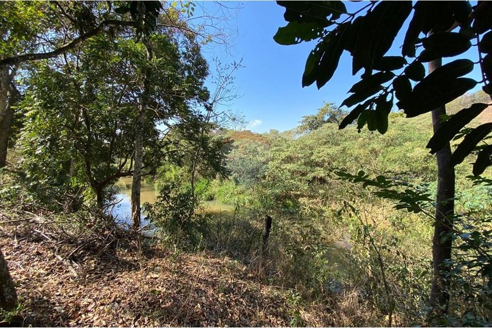 Chácara / Sítio / Fazenda - Venda - Jacutinga , Minas Gerais - WhatsApp Image 2025-08-06 at 14.30.43.jpeg - 690291077-290