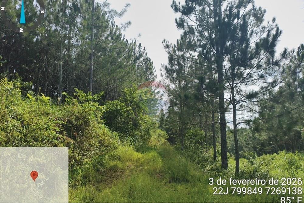 Fazenda - Venda - Jacupiranga , São Paulo - WhatsApp Image 2026-03-02 at 20.10.33.jpeg - 690061037-12