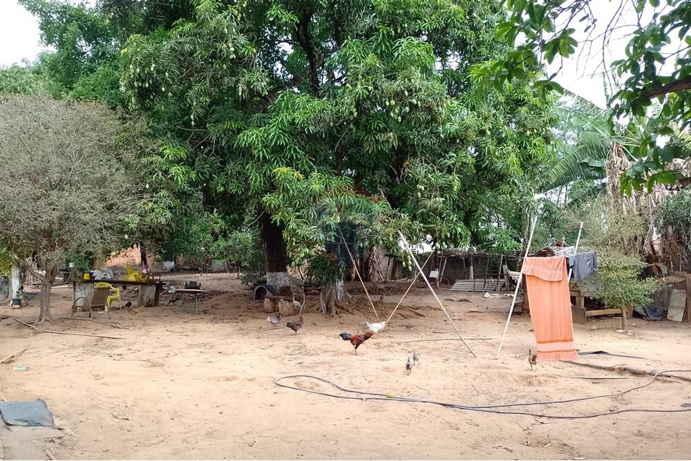 Terreno - Venda - Cosmópolis , São Paulo - fachada (14).jpg - Jardim Interno - 690511357-364