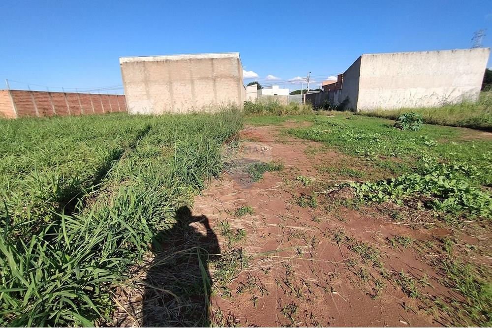 Terreno - Venda - Mogi Guaçu , São Paulo - IMG_20250430_153303.jpg - 690521005-80