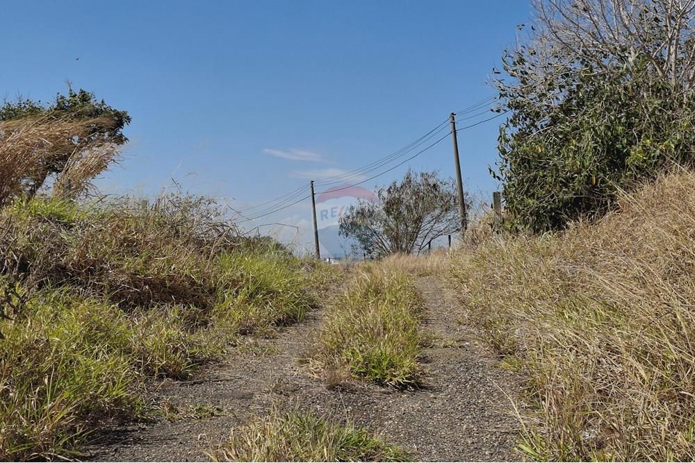 Terreno - Venda - Mogi Mirim , São Paulo - 20250808_120348.jpg - 690681090-43
