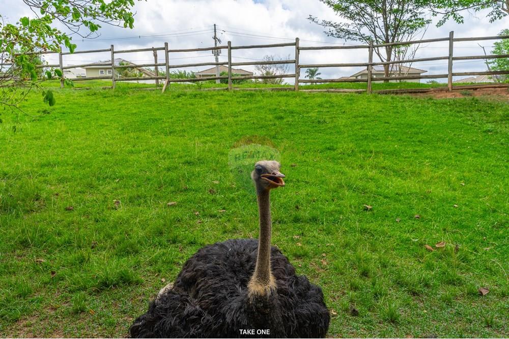 Casa de Condomínio - Venda - Jundiaí , São Paulo - Cópia de TAKEONE-19142.jpg - 690131086-38