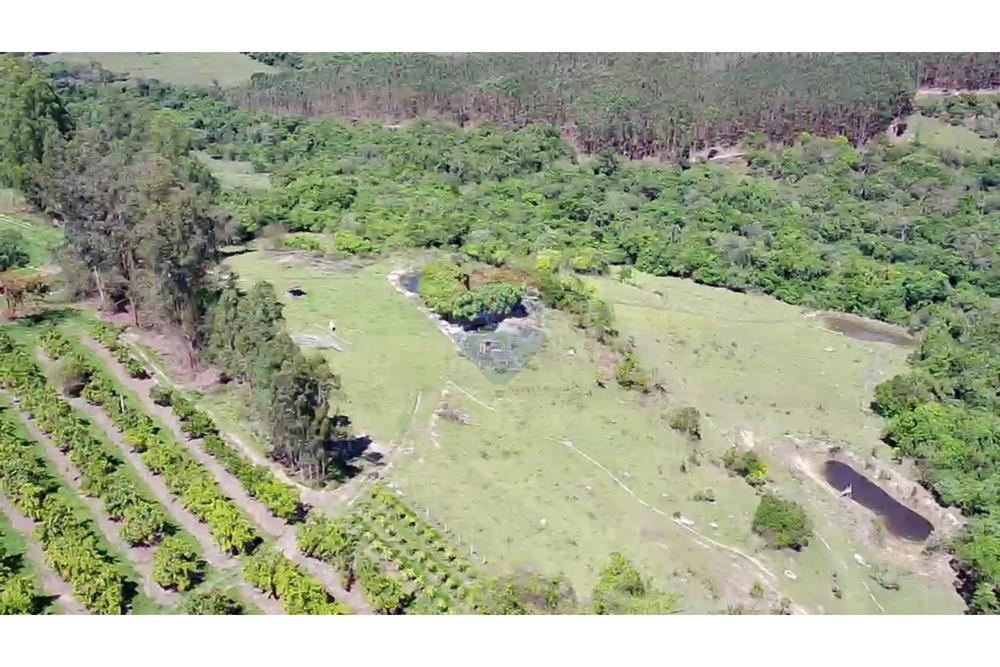 Fazenda - Venda - Analândia , São Paulo - d2f0ac9b-3f8e-44b3-b9eb-5e123023846f.jpg - 690691016-305