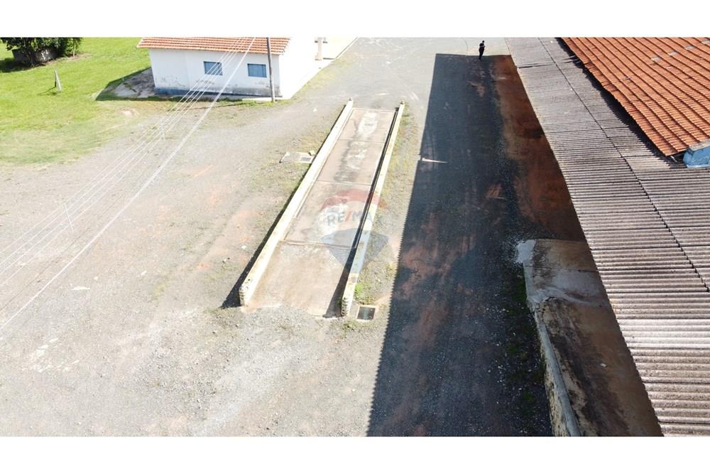 Galpão - Alugar - Mogi Mirim , São Paulo - DJI_0309.JPG - 690751019-440