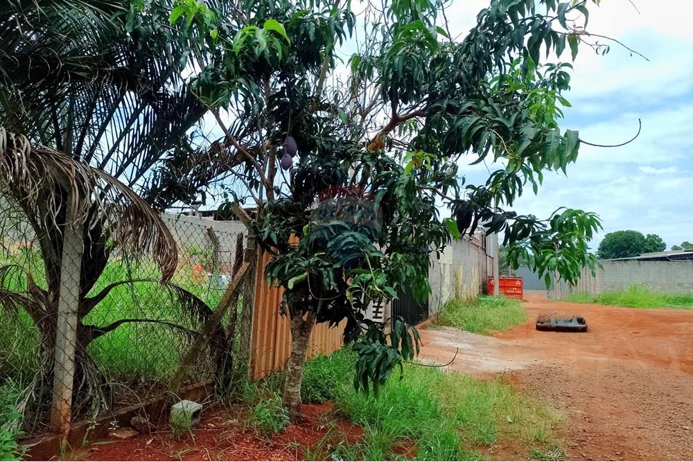 Chácara / Sítio / Fazenda - Venda - Cosmópolis , São Paulo - chacara3.jpg - Fachada - 690831047-333