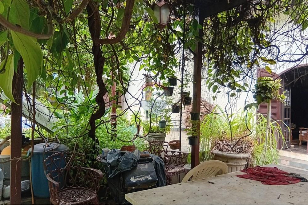 Chácara / Sítio / Fazenda - Venda - Campinas , São Paulo - 6 piscina.jpeg - 690331038-16