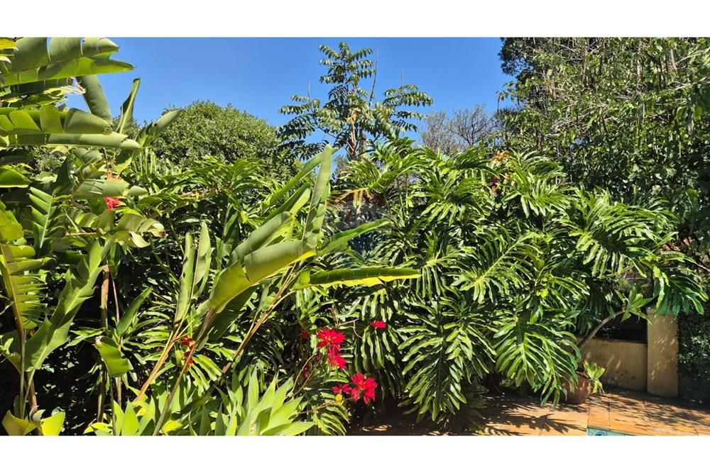 Casa - Alugar - Vinhedo , São Paulo - paisagismo.jpg - 690541036-130