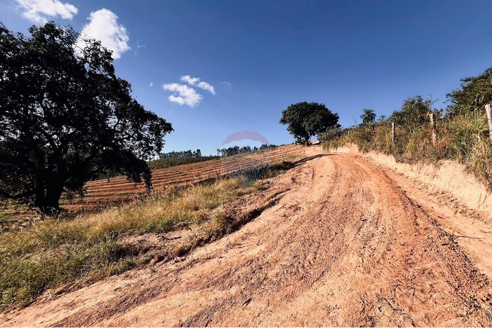 Chácara / Sítio / Fazenda - Venda - Serra Negra , São Paulo - IMG_4698.jpg - 690291056-34