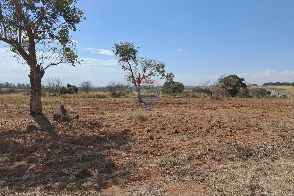 Terreno - Venda - Mogi Mirim , São Paulo - 20250808_120207.jpg - 690681090-43