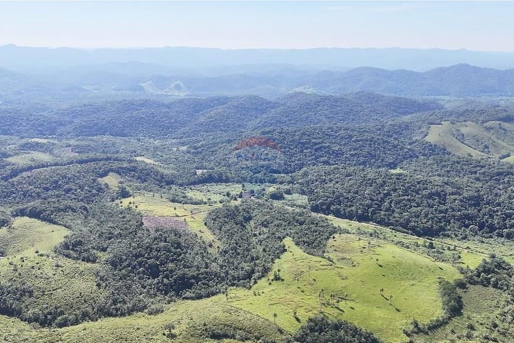 Fazenda - Venda - Miracatu , São Paulo - WhatsApp Image 2025-05-20 at 13.36.10 (1).jpeg - 690061038-9