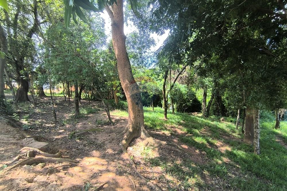 Casa de Condomínio - Venda - Indaiatuba , São Paulo - Jd. Vista Verde (43).jpg - 690471120-64