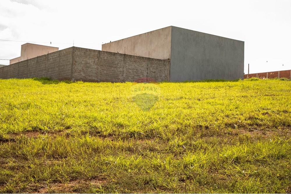 Terreno - Venda - Ipeúna , São Paulo - IMG_0351.jpg - 690811057-58