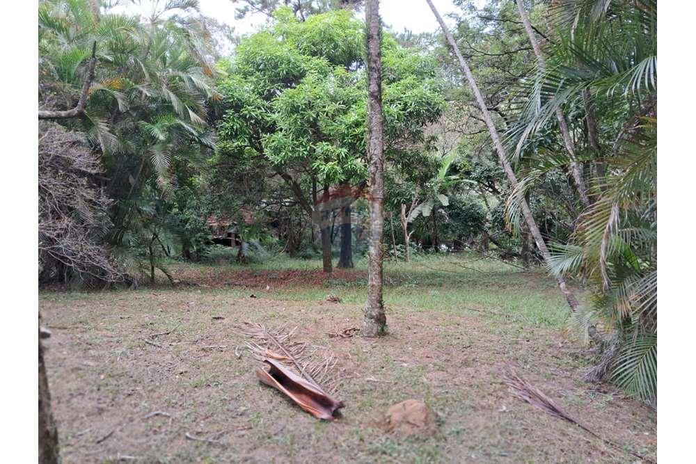 Chácara / Sítio / Fazenda - Venda - Valinhos , São Paulo - foto 6.jpg - 690851076-164