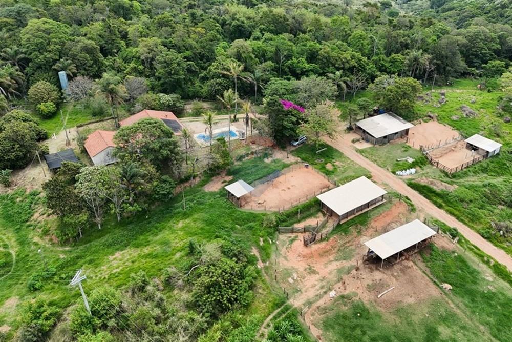 Chácara / Sítio / Fazenda - Venda - Pedreira , São Paulo - DJI_20251114125350_0041_D.JPG - 690671004-418