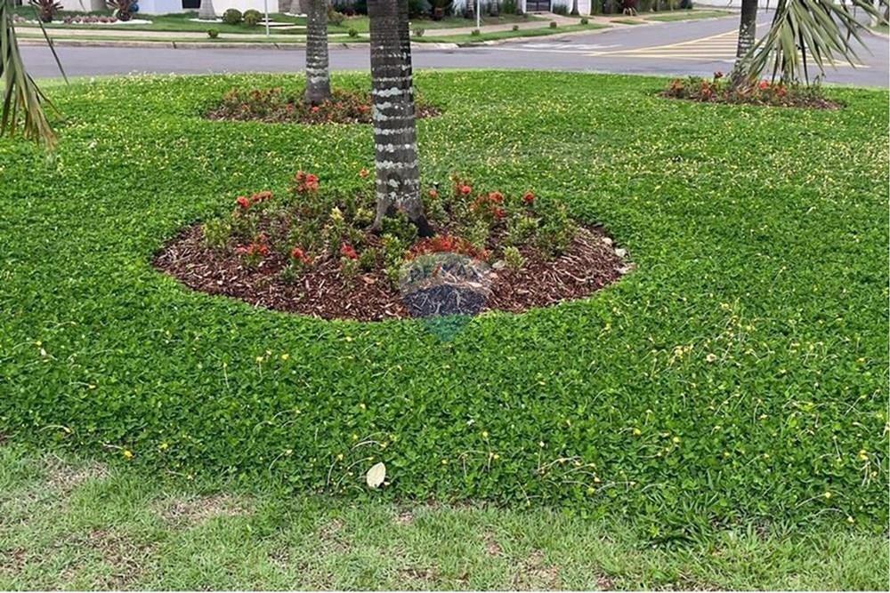 Terreno - Venda - Paulínia , São Paulo - L_07a0dbd5-f26c-4180-9963-c8f485a764da.jpg - 690511182-5