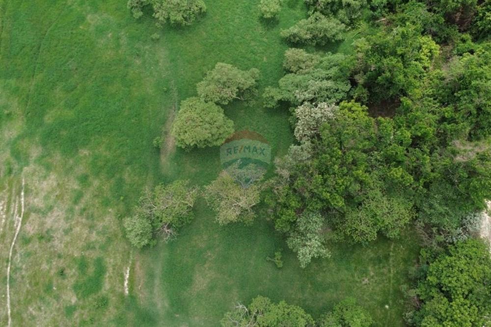 Agro - Venda - Capivari , São Paulo - DJI_0082.JPG - 690091006-563