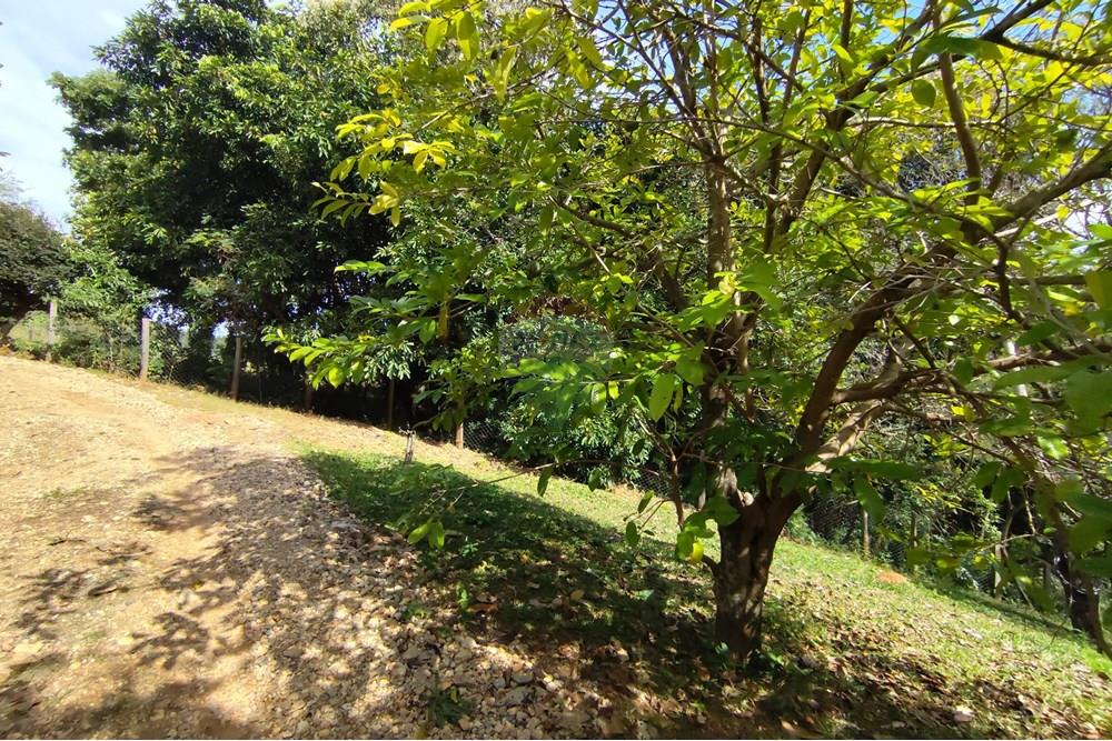 Chácara / Sítio / Fazenda - Venda - Itapira , São Paulo - 1751510168873.jpg - 690291085-364