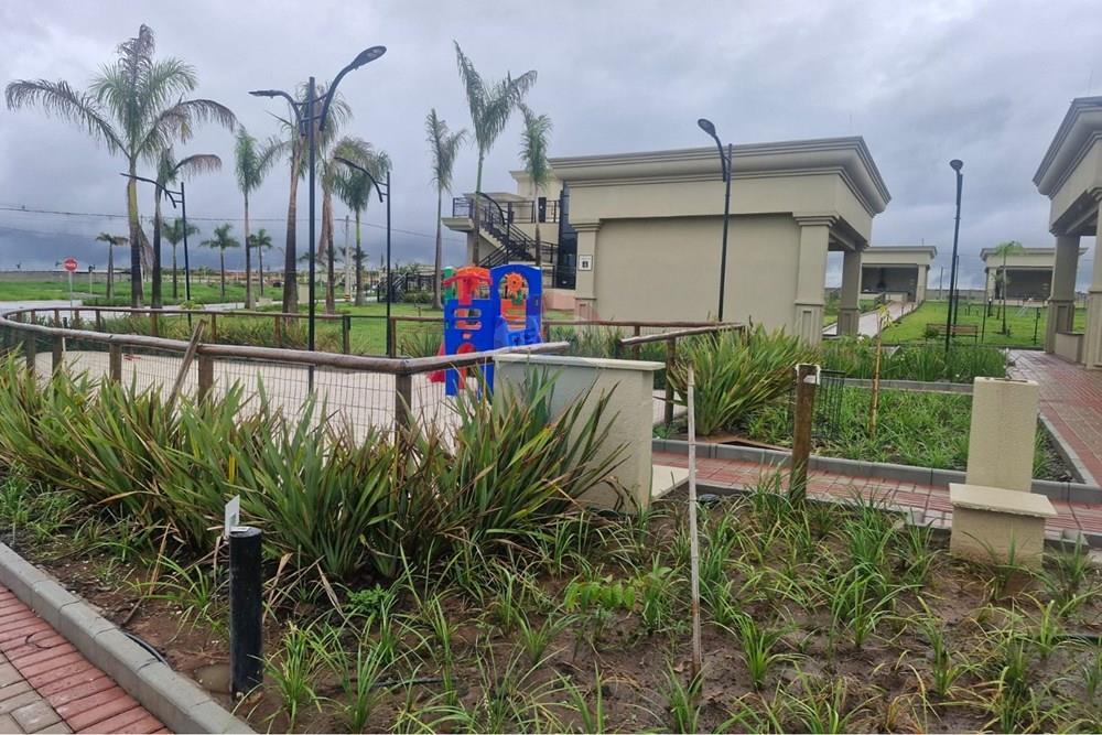 Terreno - Venda - Paulínia , São Paulo - WhatsApp Image 2026-02-11 at 15.20.21 (2).jpeg - 690511140-81