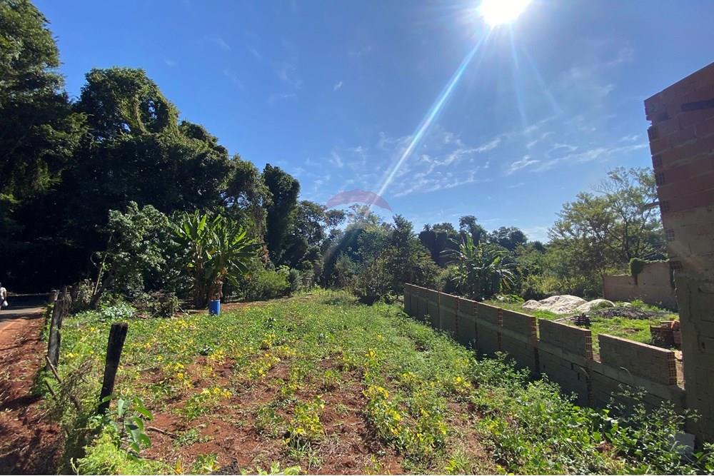 Terreno - Venda - Mogi Mirim , São Paulo - IMG_6553.JPEG - 690281041-98