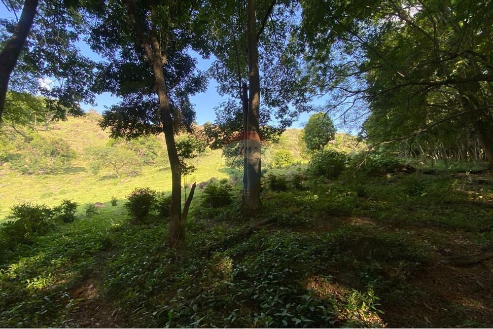 Terreno - Venda - Valinhos , São Paulo - WhatsApp Image 2025-11-29 at 18.49.27 (1).jpeg - 691181010-13