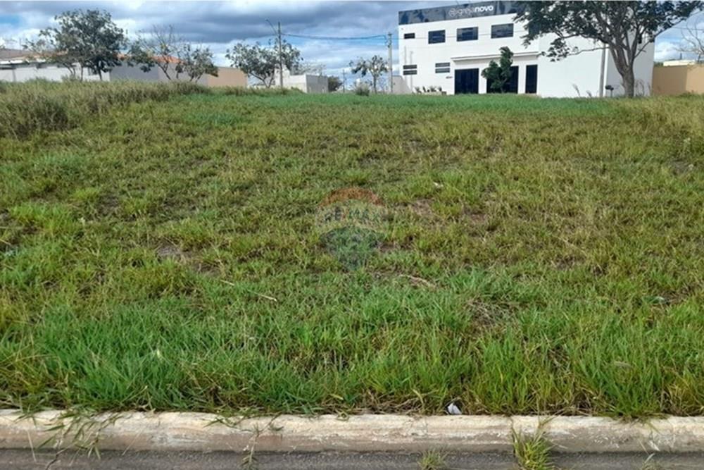 Terreno - Venda - Ipeúna , São Paulo - WhatsApp Image 2025-10-20 at 16.52.13 (1).jpeg - Fachada - 690811004-78