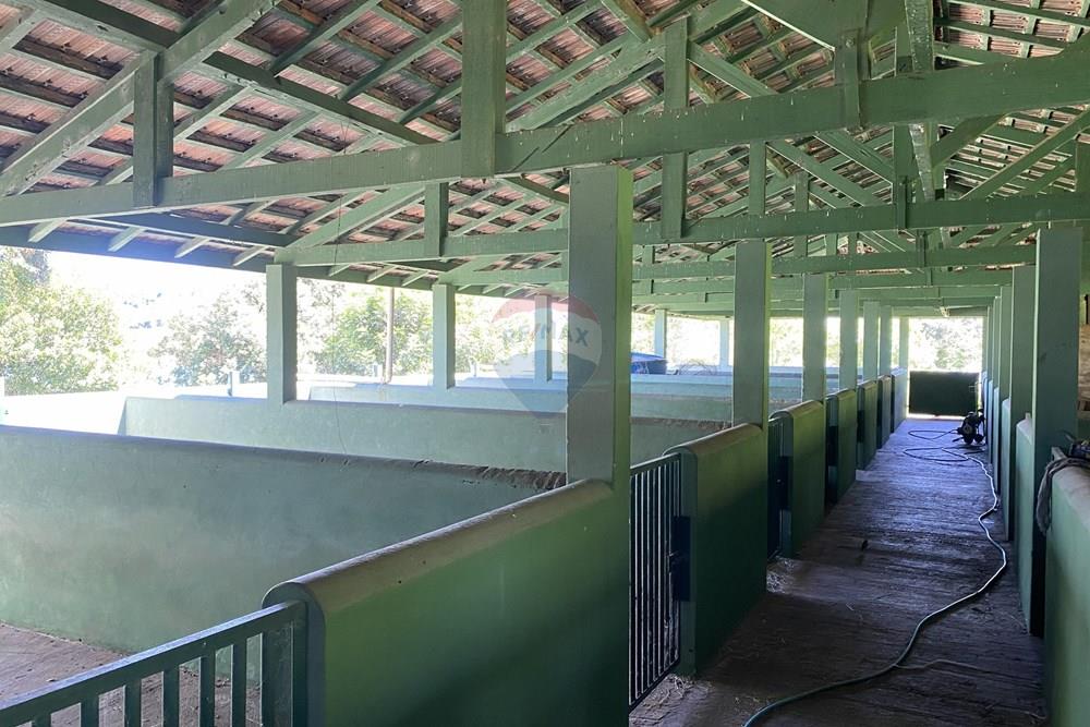 Fazenda - Venda - Piraju , São Paulo - IMG_7338.jpg - 690061038-29