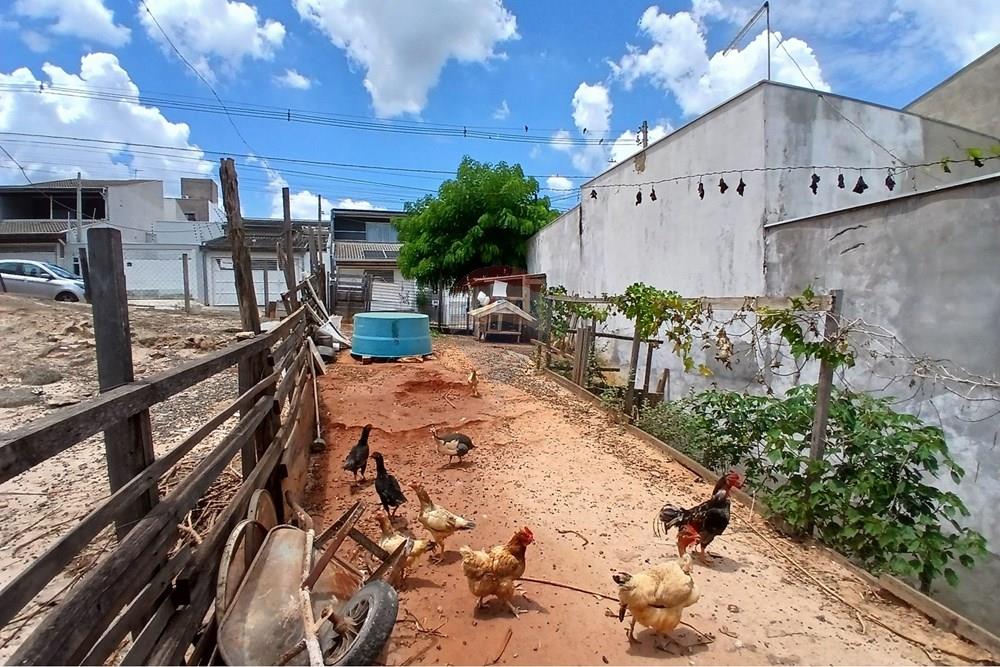 Terreno - Venda - Americana , São Paulo - 20260217_123700.jpg - 691071014-19