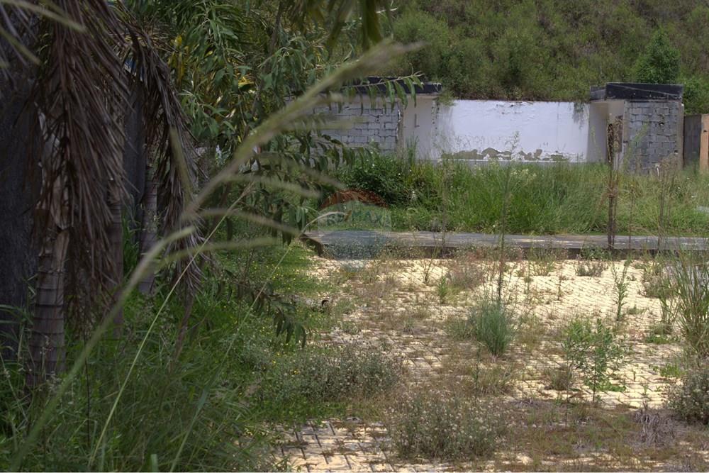 Terreno - Alugar - Bragança Paulista , São Paulo - IMG_3166.jpg - 690041001-244