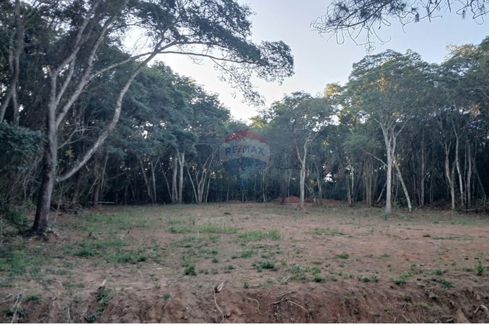 Terreno - Venda - Bragança Paulista , São Paulo - 20250530_163712.jpg - 690141085-18