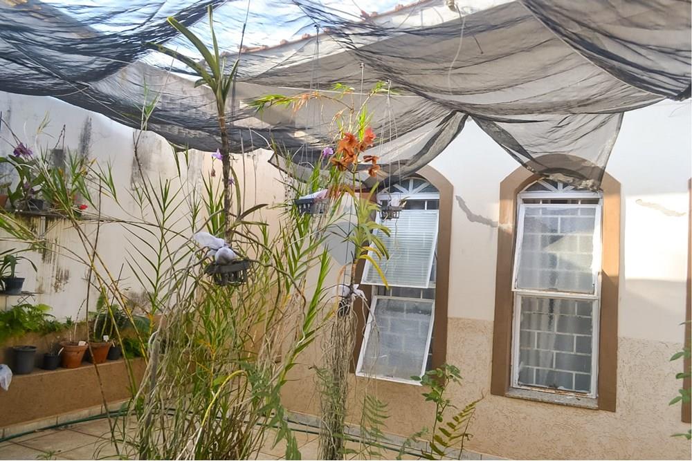 Casa - Venda - Americana , São Paulo - Compartilhada do Lightroom Mobile(13).jpg - Jardim Externo - 691071024-5