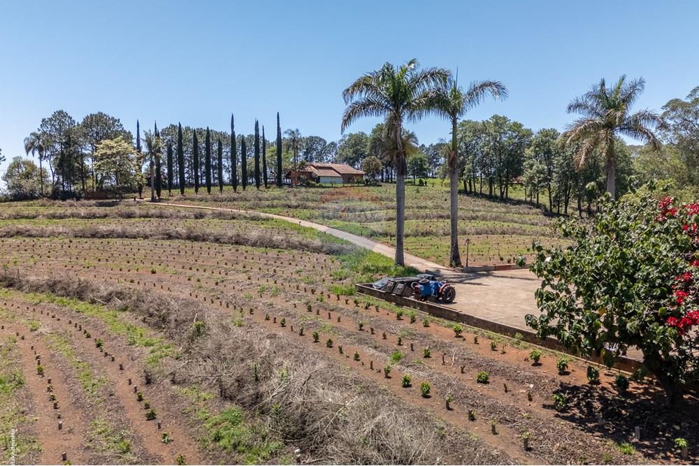 Chácara / Sítio / Fazenda - Venda - Morungaba , São Paulo - TKD-9529.jpg - 690661002-89
