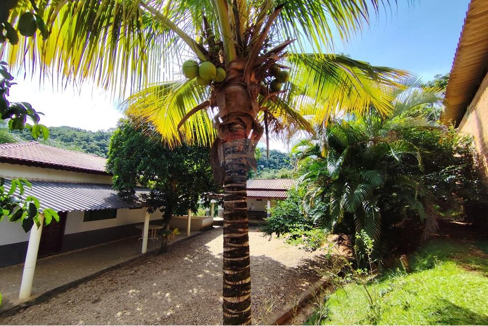 Chácara / Sítio / Fazenda - Venda - Itapira , São Paulo - 1751510168592.jpg - 690291085-364