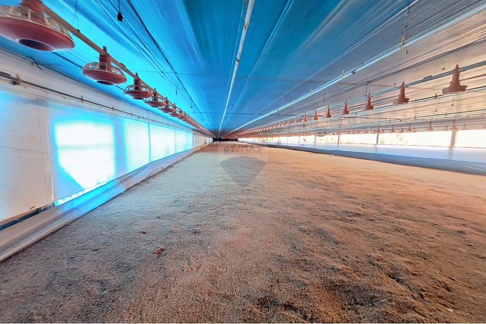 Chácara / Sítio / Fazenda - Venda - Itapira , São Paulo - 20250626_093026.jpg - 690751048-290