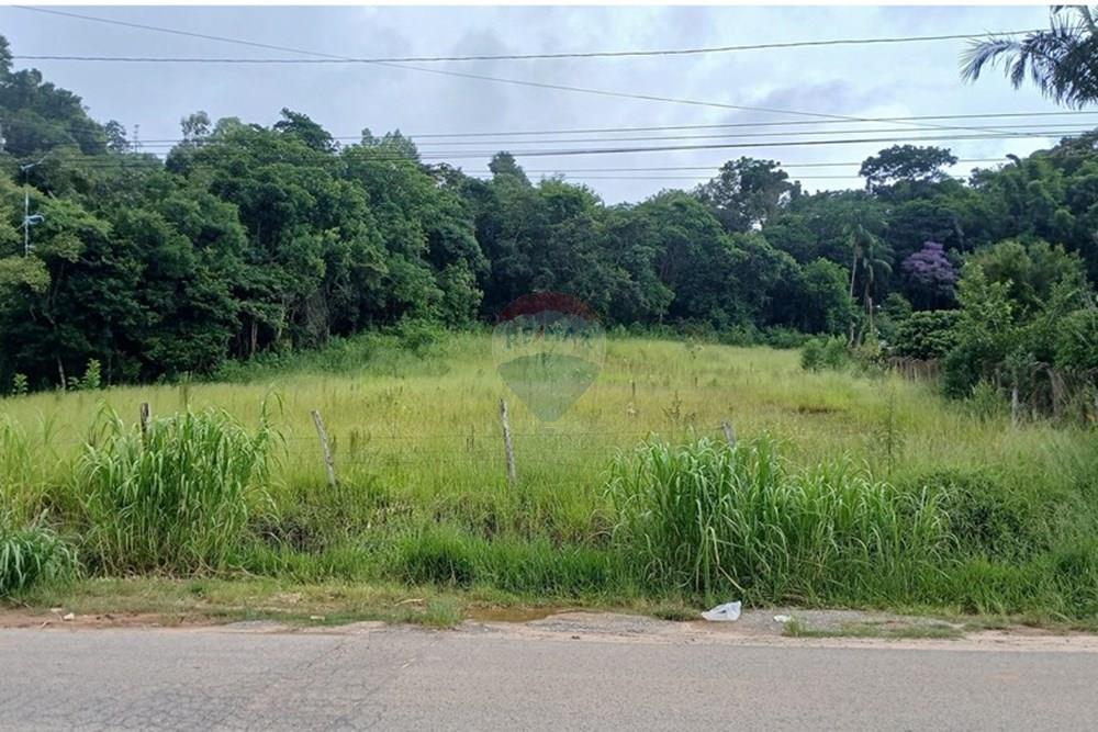 Terreno - Venda - Pedra Bela , São Paulo - 20260212_142711~3.jpg - 690141085-49