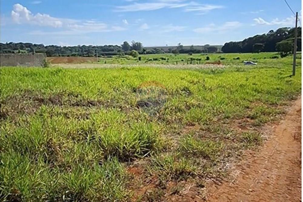 Terreno - Venda - Mogi Mirim , São Paulo - IMG-20241209-WA0033.jpg - 690751048-328