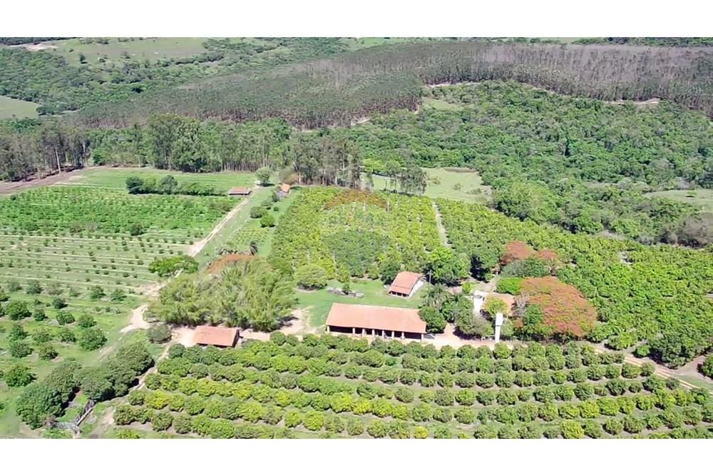 Fazenda - Venda - Analândia , São Paulo - e80e32b0-bcd2-4d82-b9ea-9600b4c57ecb.jpg - 690691016-305