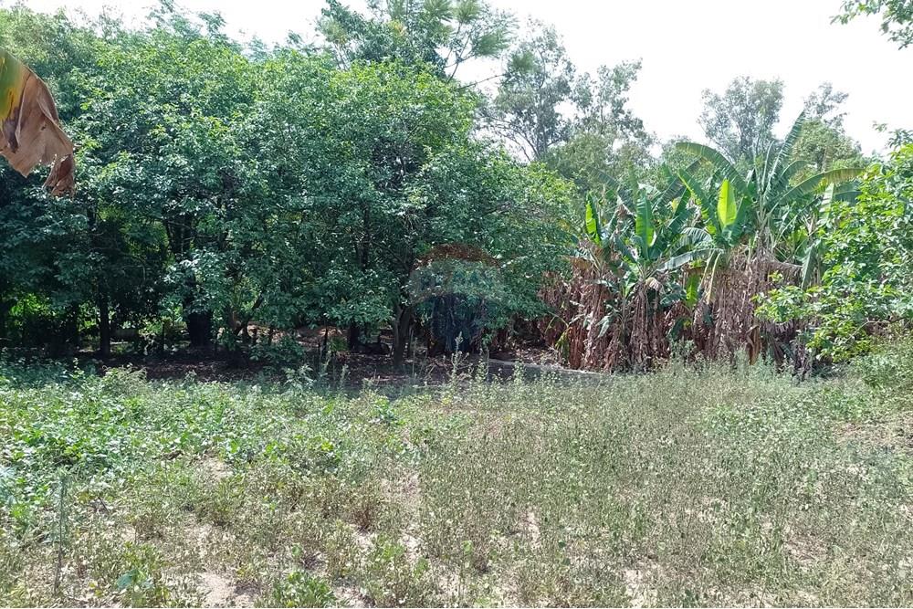 Terreno - Venda - Cosmópolis , São Paulo - fachada (3).jpg - Jardim Interno - 690511357-364