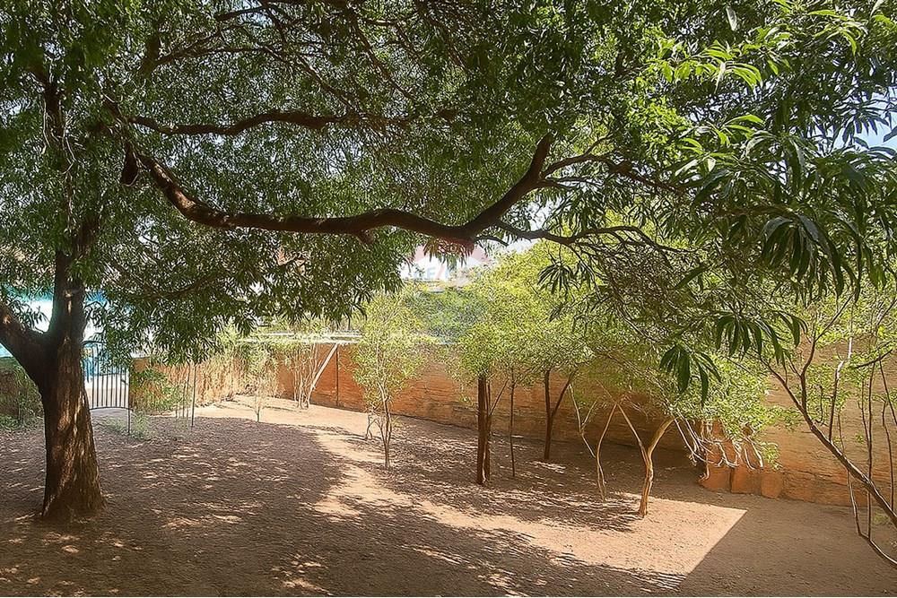 Casa - Venda - Araraquara , São Paulo - quintal 1.jpg - 690151011-48