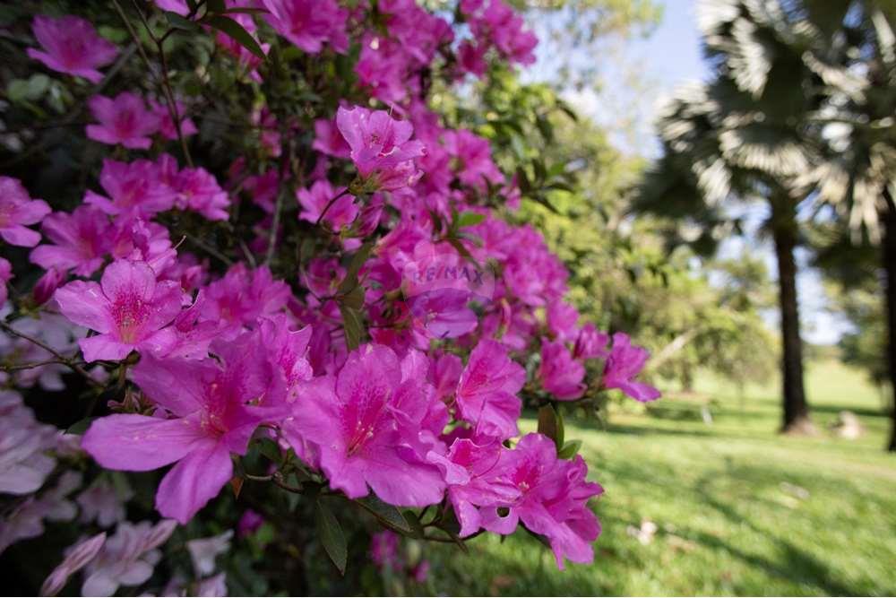 Terreno - Venda - Itatiba , São Paulo - WhatsApp Image 2024-06-14 at 16.08.47 (1).jpeg - 690661026-161