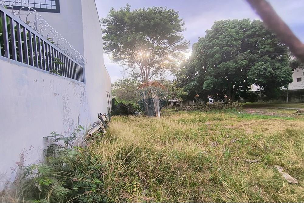 Terreno - Alugar - Campinas , São Paulo - WhatsApp Image 2025-06-30 at 16.57.04 (1).jpeg - 690681149-54