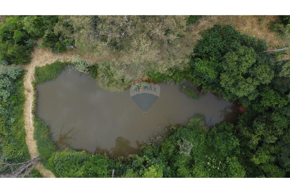 Chácara / Sítio / Fazenda - Venda - Araras , São Paulo - DJI_0077.JPG - 690691016-236