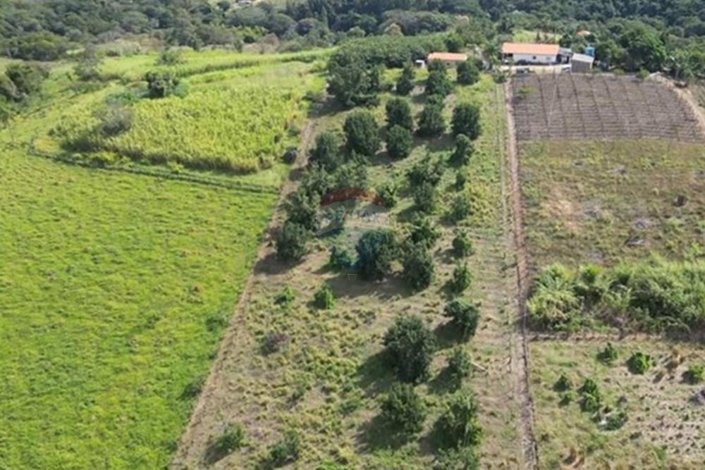 Chácara / Sítio / Fazenda - Venda - Itapira , São Paulo - IMG-20250713-WA0588.jpg - 690291085-364