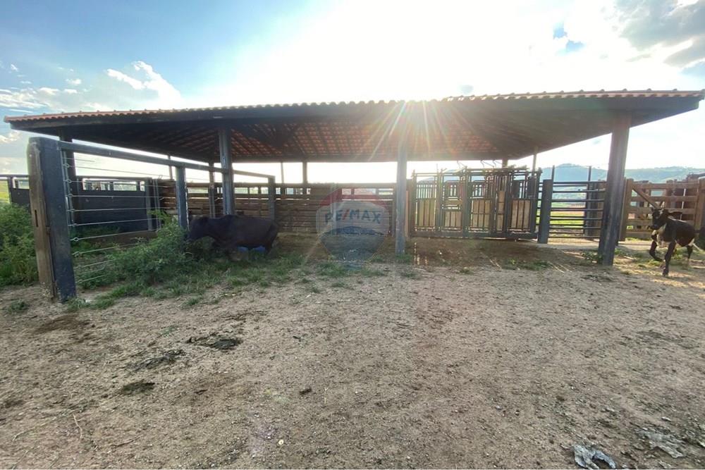 Chácara / Sítio / Fazenda - Venda - Socorro , São Paulo - WhatsApp Image 2026-03-04 at 13.32.23 (1).jpeg - 690041167-12