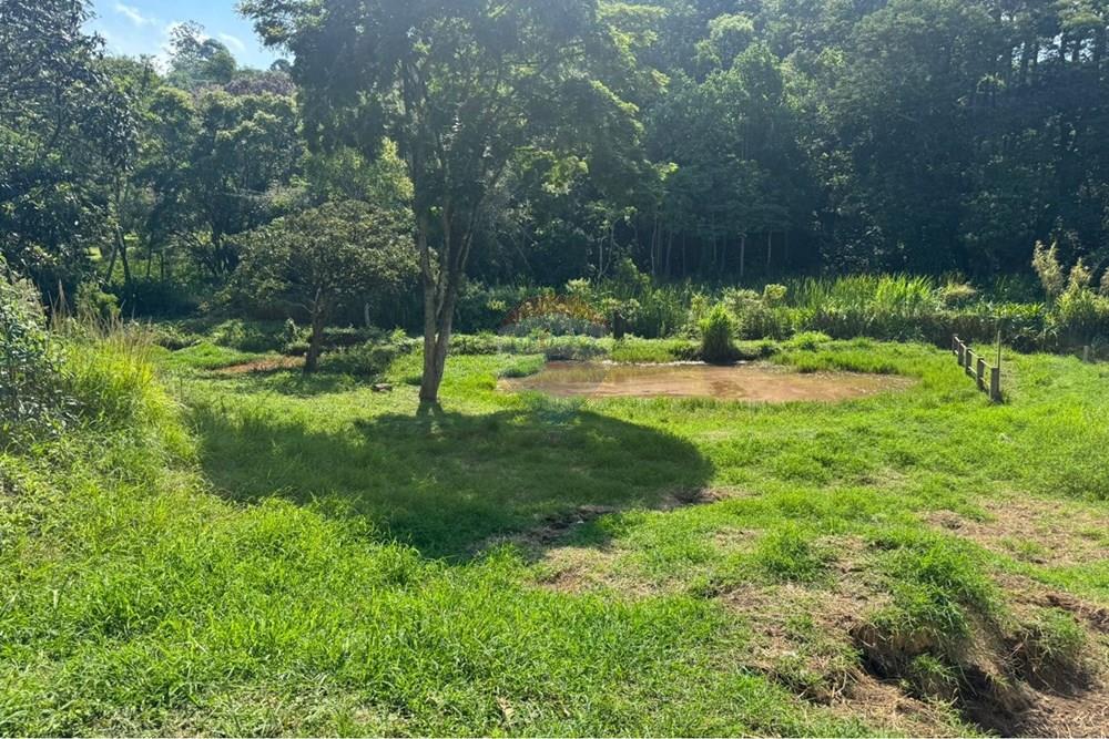 Chácara / Sítio / Fazenda - Venda - Santana de Parnaíba , São Paulo - WhatsApp Image 2026-01-14 at 10.52.21.jpeg - 690951047-10