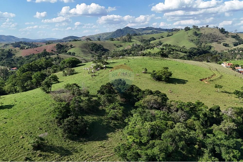 Chácara / Sítio / Fazenda - Venda - Socorro , São Paulo - DJI_20251121160730_0472_D.JPG - 690041041-39