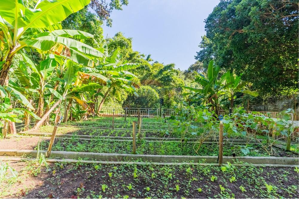 Casa - Venda - Campinas , São Paulo - FOTOS REMAX-70.jpg - 690491062-150