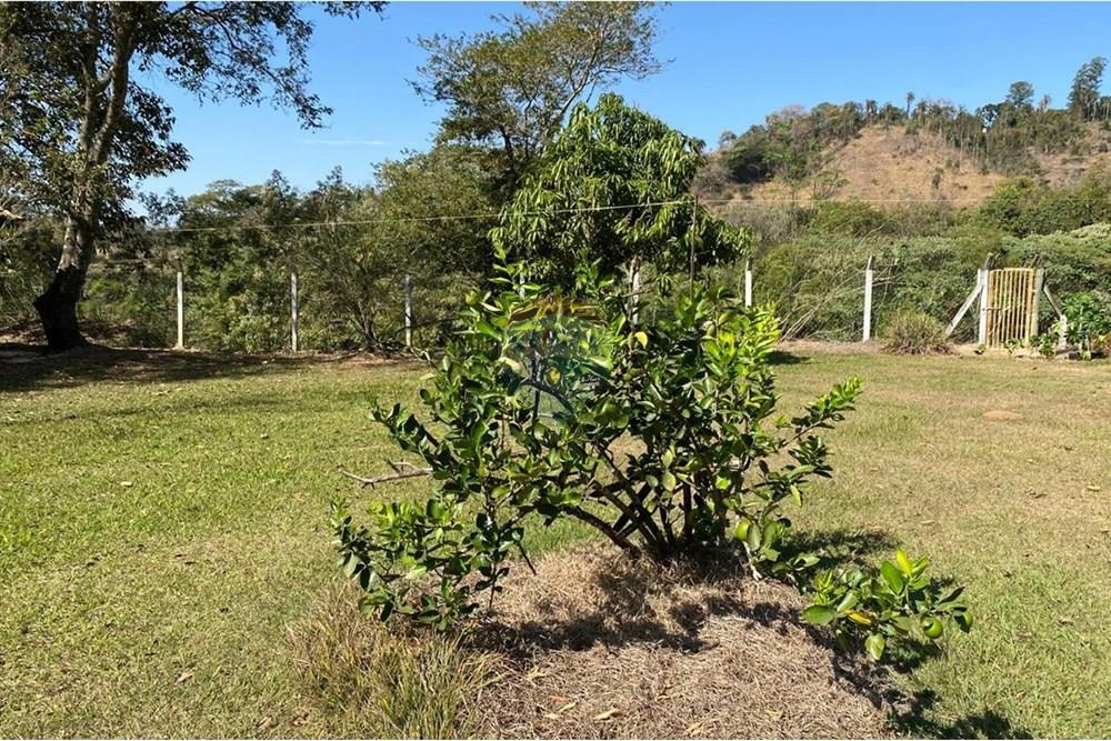 Chácara / Sítio / Fazenda - Venda - Jacutinga , Minas Gerais - WhatsApp Image 2025-08-06 at 14.30.47.jpeg - 690291077-290