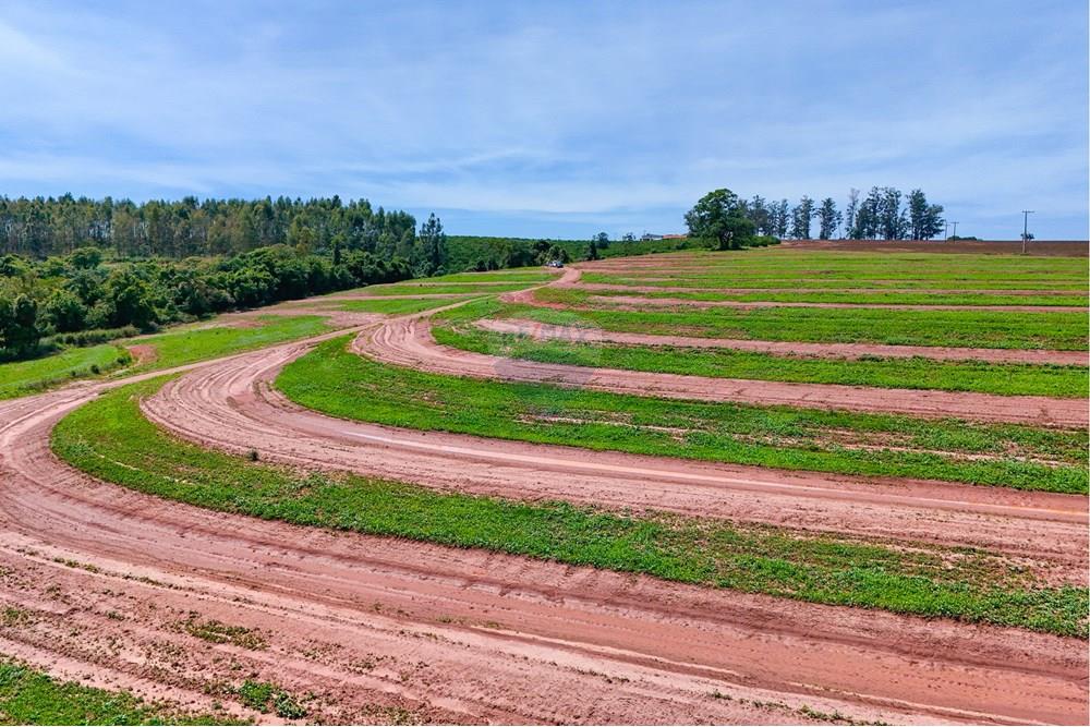 Chácara / Sítio / Fazenda - Venda - Santa Cruz da Conceição , São Paulo - Tratada-51.jpg - 690481029-26