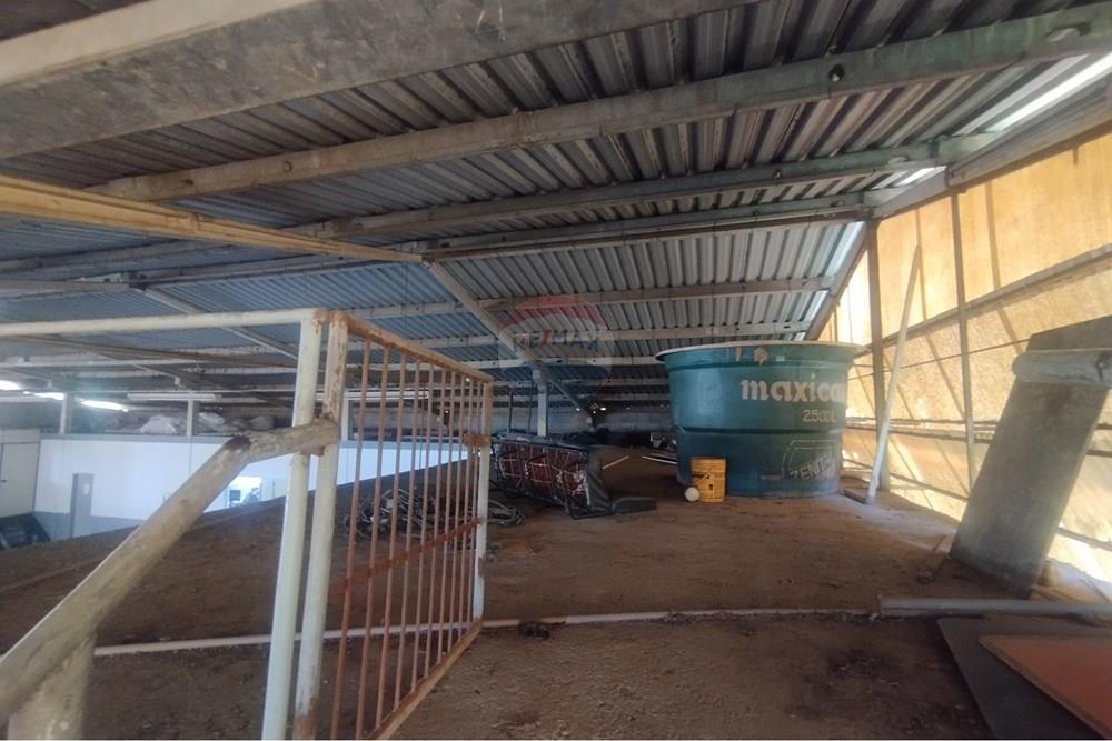 Galpão - Alugar - Jundiaí , São Paulo - 1001018101.jpg - 690791211-29